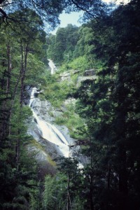 0204 NP Huerquhue.jpg